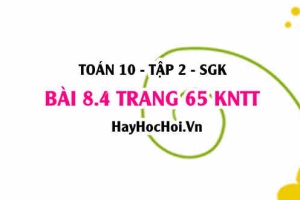 Bài 8.4 trang 65 Toán 10 tập 2 Kết nối tri thức: Các bài toán đếm số tự nhiên